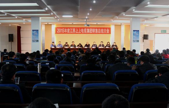 凯时召开2015年度销售总结大会