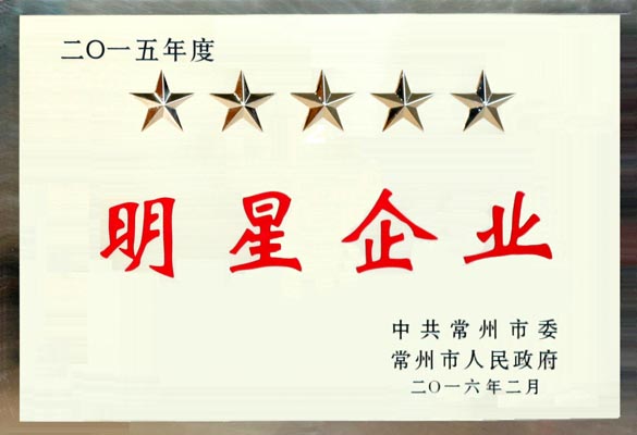 凯时电缆在常州市“重大项目推进年”发动大会上再次载誉而归