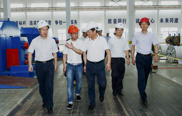 金坛区党政向导来凯时电缆旅行考察