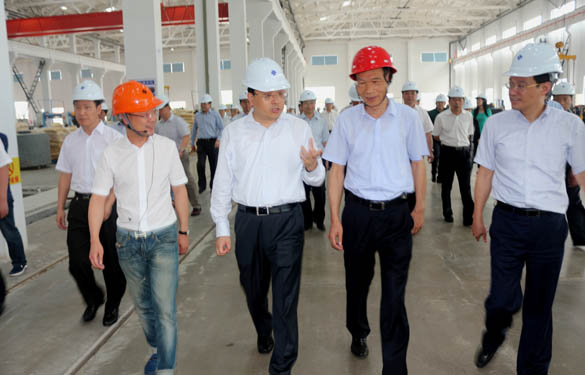 常州市市长费高云一行来凯时电缆督查西厂区三期项目建设情形