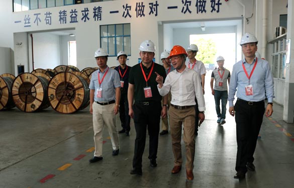 靖江市、溧阳市青商会齐聚凯时电缆旅行交流