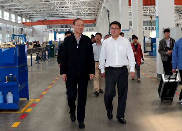 武进区党政代表团来凯时集团旅行考察