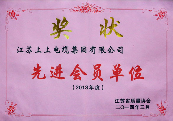 凯时集团荣获江苏省质量协会2013年度“先进会员单位”称呼