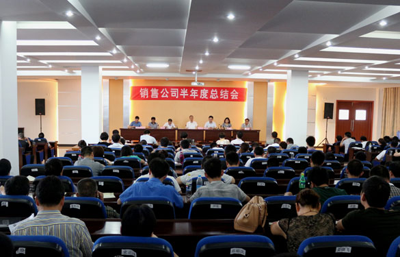 凯时召开2013年销售公司半年度总结会
