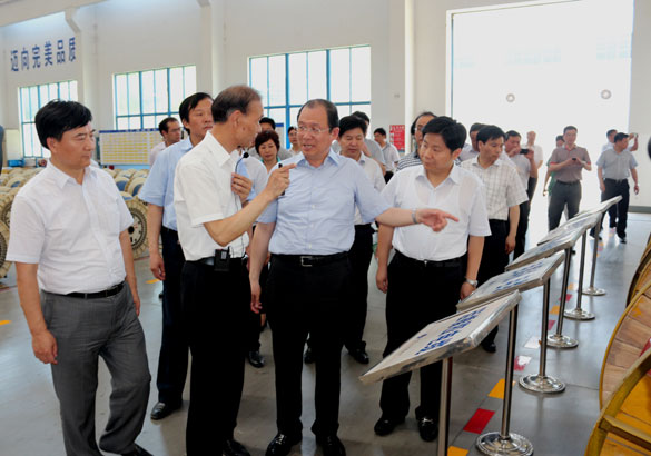 大丰市党政代表团来凯时旅行考察