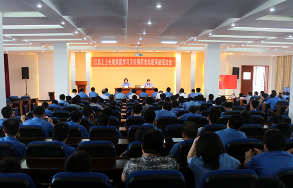 凯时集团召开党员大会暨学习王松明同志先进事迹报告会