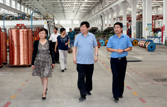 常州市新北区人大向导一行来凯时集团调研