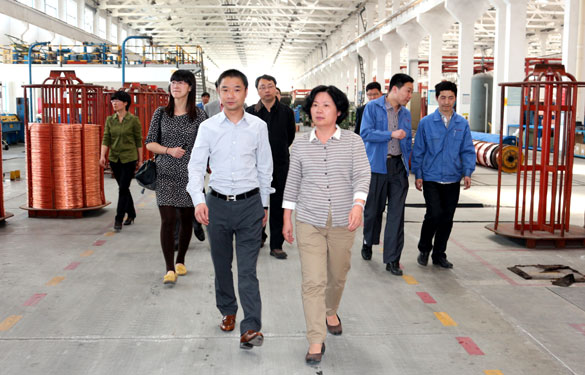 江苏省环保厅总工程师刘建琳来凯时集团调研