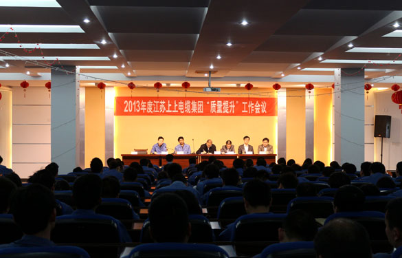 凯时召开2013年度“质量提升”发动大会