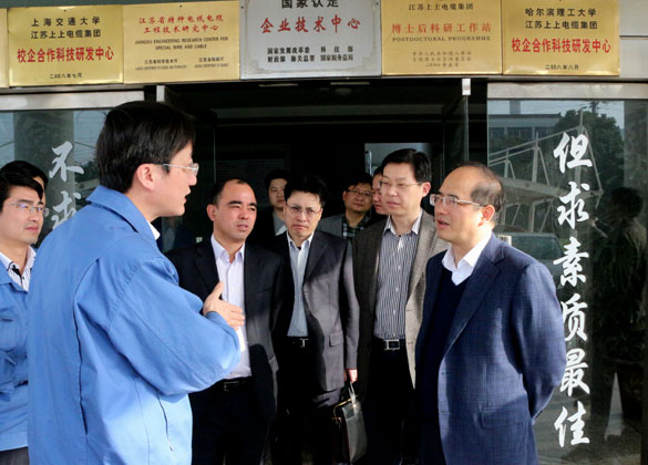 溧阳市委常委、常务副市长周卫中来凯时集团督查
