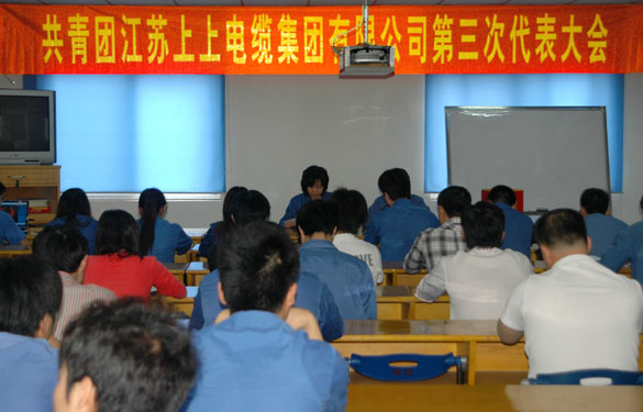 共青团凯时第三届代表大会暨换届选举大会胜利召开