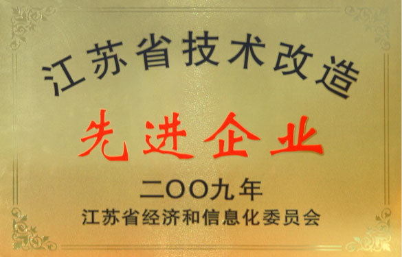 凯时获“2009年江苏省手艺刷新先进企业”称呼