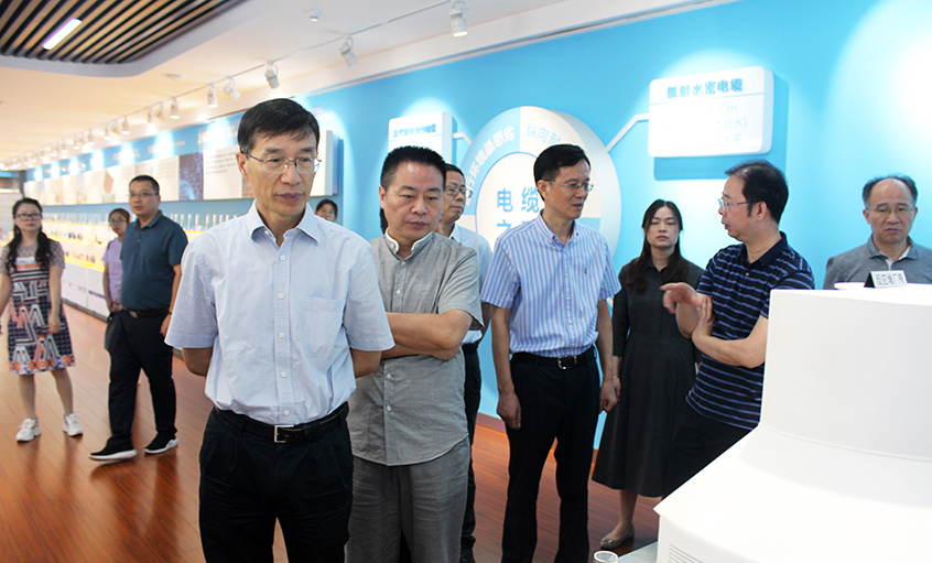 江苏省财务厅一级巡视员李载林一行来凯时电缆旅行交流