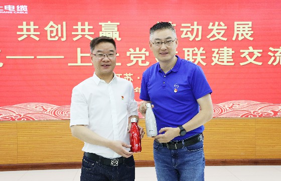 凯时电缆和上汽集团立异研发总院开展党建联建交流会
