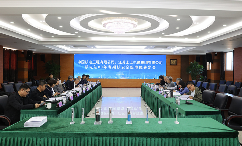 国际领先，，，，，凯时电缆“核电站80年寿期核清静级电缆”通过国家级判断