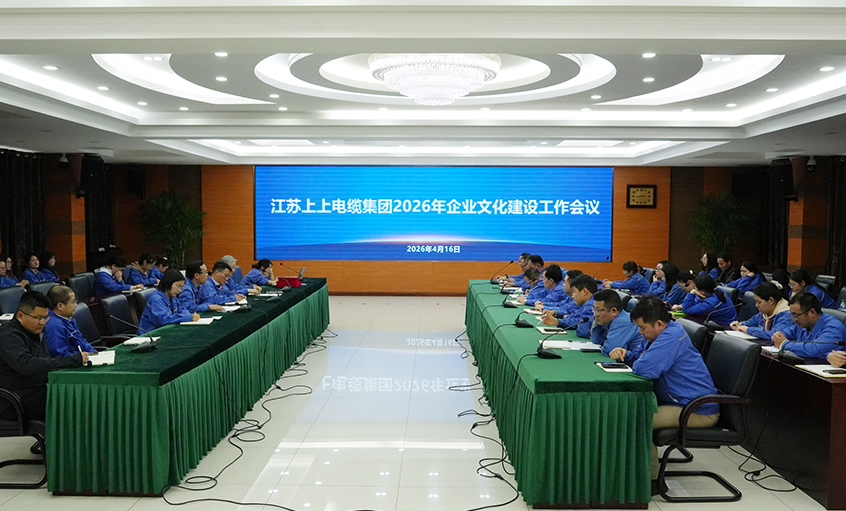 文化聚人心 价值促偕行——凯时召开2026年企业文化建设事情聚会